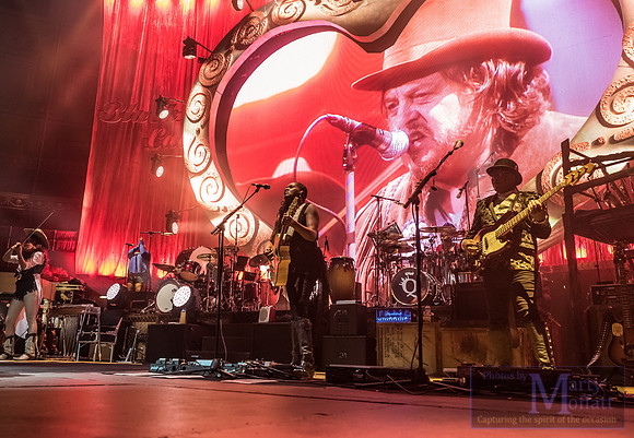 zucchero2016rah_small026