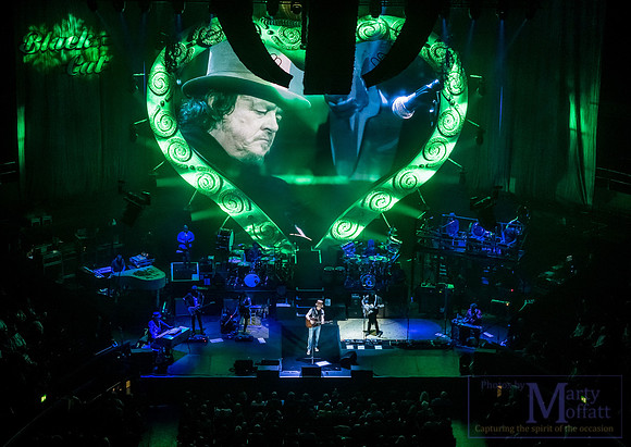 zucchero2016rah_small090