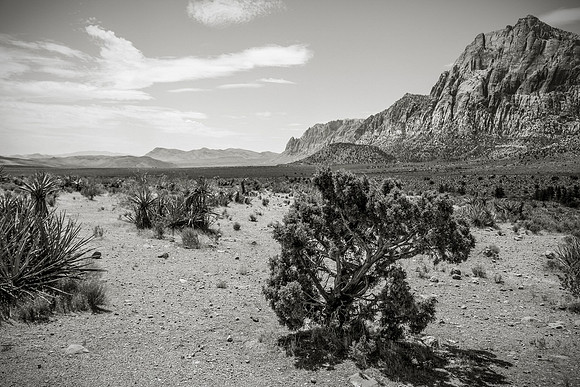 IMG_7393
