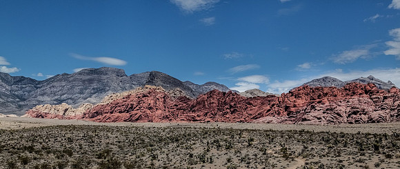 IMG_7409