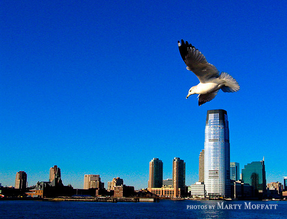 New York, USA