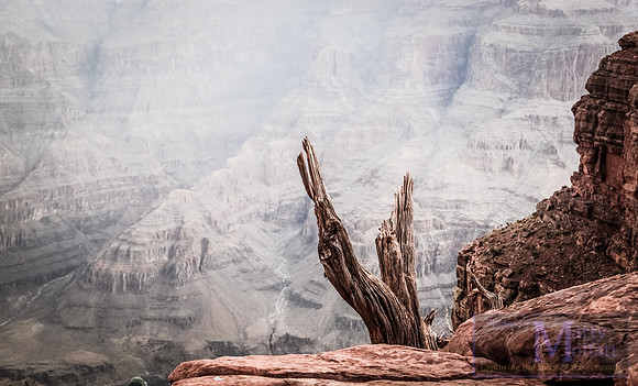 Day 212 - Grand Canyon
