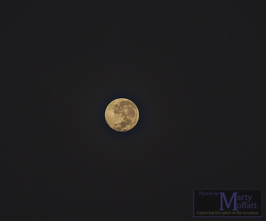 Day 329 - The Moon