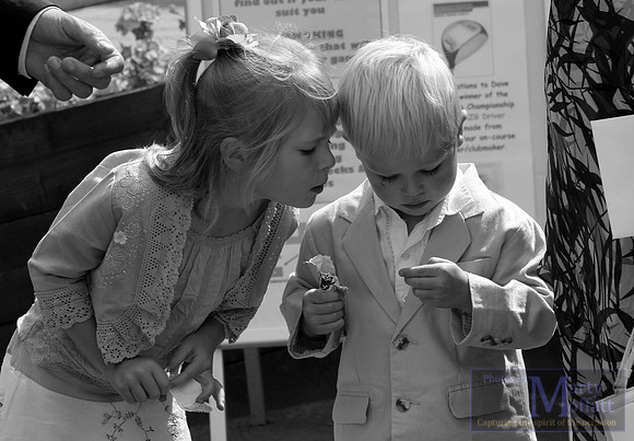 Day 225 - Wedding candid