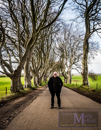 Day 209 - Dark Hedges, Northern Ireland