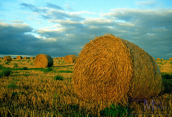 Day 054 - Wiltshire hay bales
