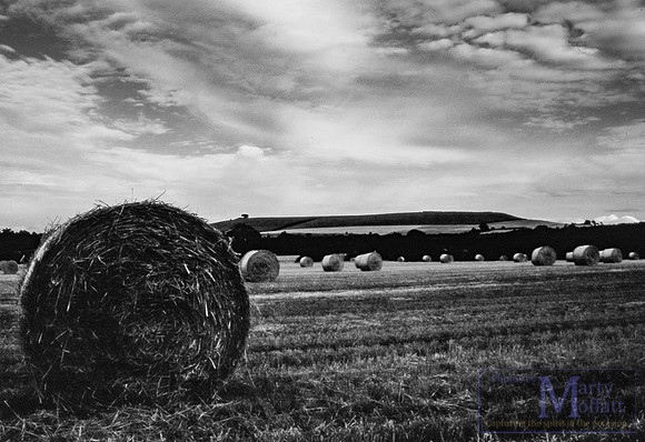 Day 220 - Wiltshire