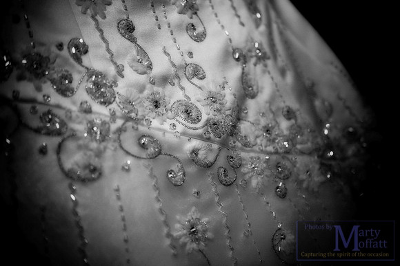 Day 338 - Wedding Dress