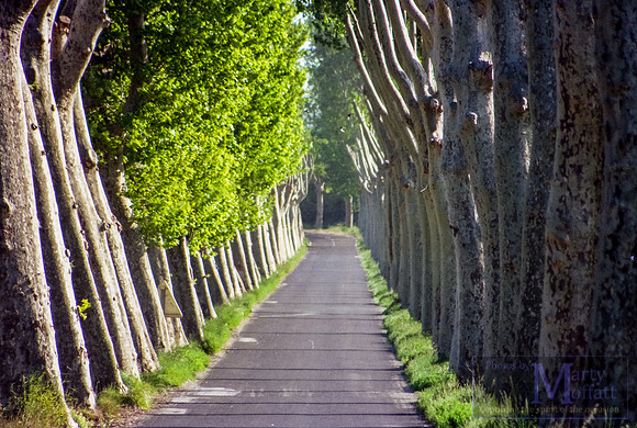Day 291 - Southern France