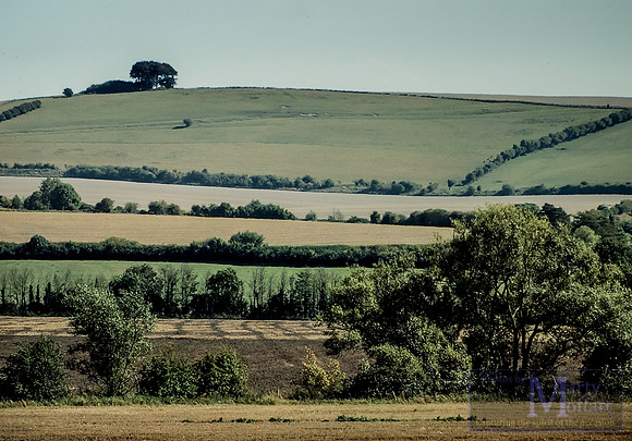 Day 113 - Wiltshire