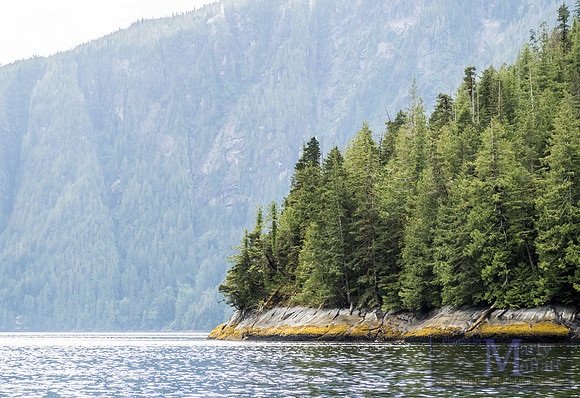 Day 166 - Alaska