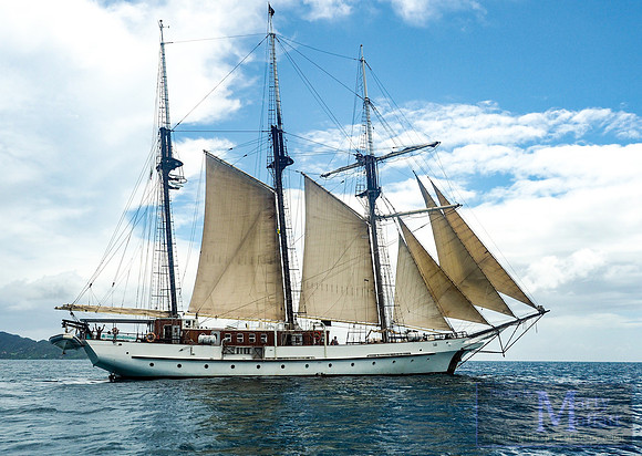 Day 245 - The Vela