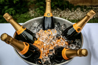 Day 365 - Champagne
