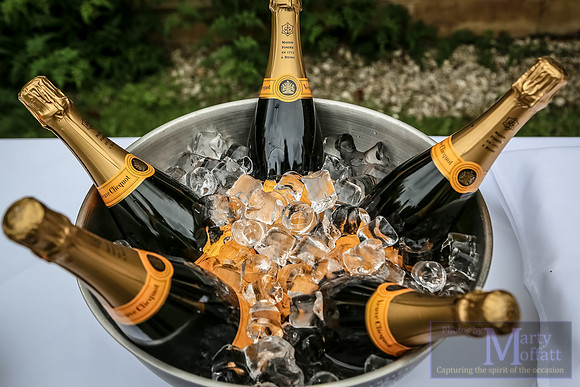 Day 365 - Champagne