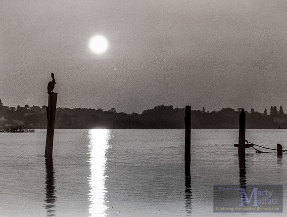 Day 098 - Florida