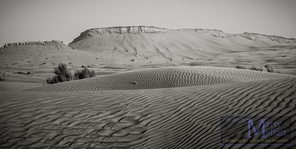 Day 332 - Desert Scene