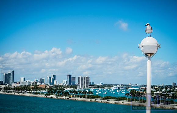Day 234 - Miami