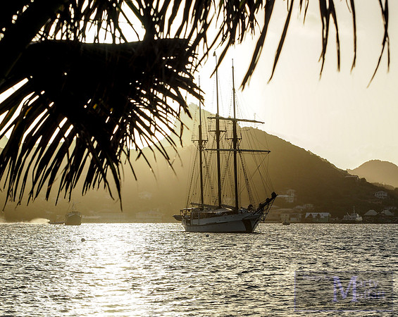 Day 026 - The Vela