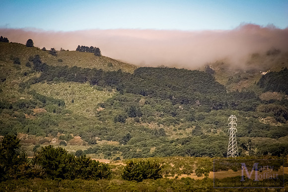 Day 151 - outskirts of San Francisco