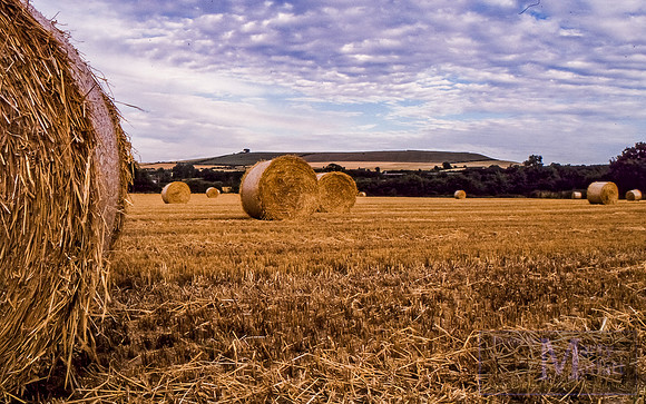 Day 271 - Wiltshire