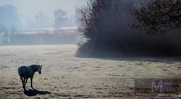 Day 128 - Wiltshire