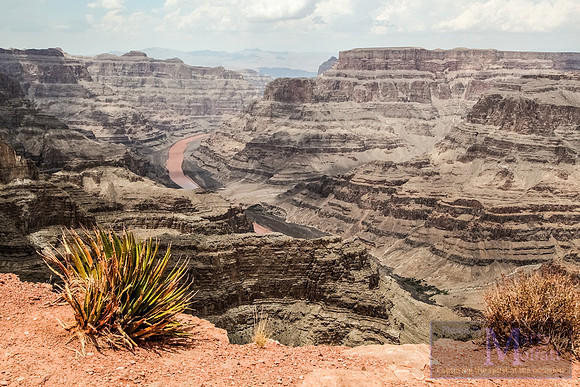 Day 183 - Grand Canyon