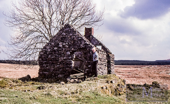 Day 191 - Abandoned house, Antrim, Northern Ireland