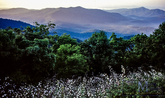 Day 154 - Blue Ridge Mountains