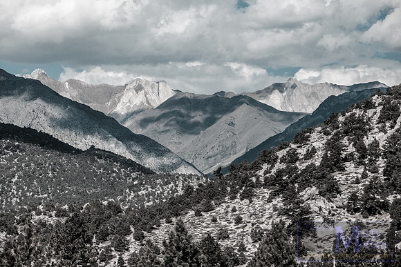 Day 197 - Nevada, USA