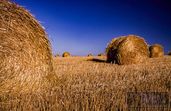 Day 244 - Wiltshire Hay bales