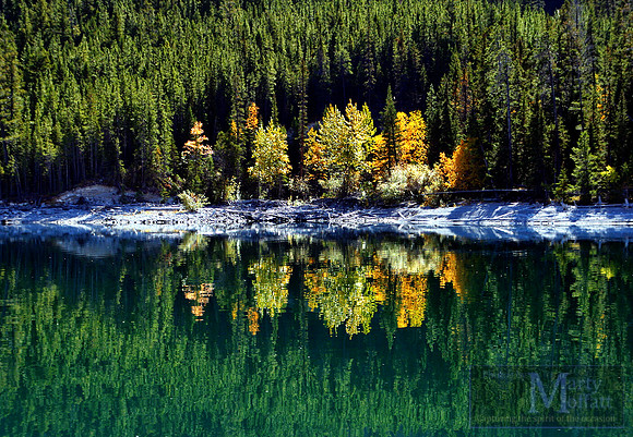 Day 355 - Alberta, Canada