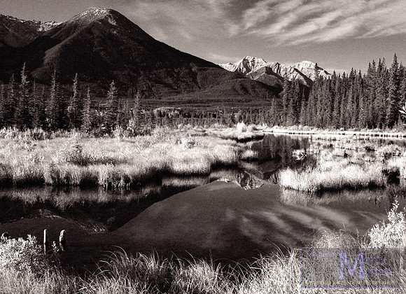 Day 129 - Alberta, USA