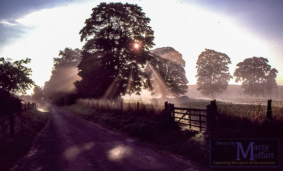 Day 153 - Wiltshire Lane