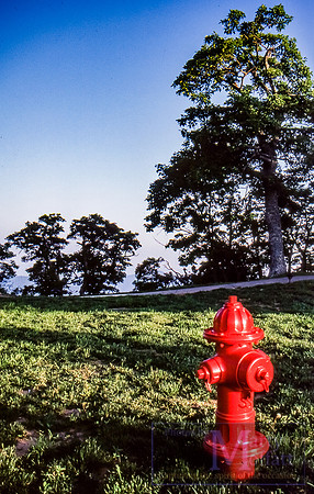 Day 210 - Smokey Mountains Fire Hydrant