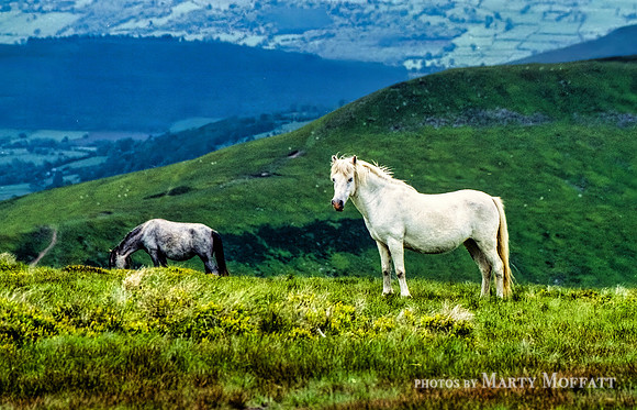 photos093-topaz-denoise-sharpen