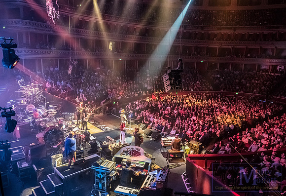 zucchero2016rah_small083
