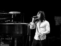 img_5856a_std