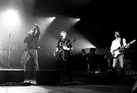 _mg_9037a