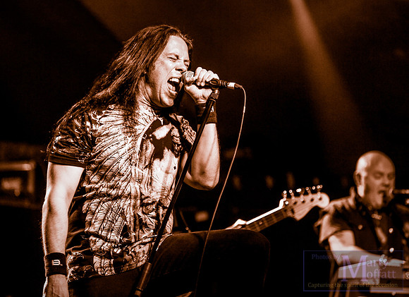 dv2013bilston053