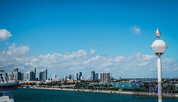 P2220442_resize