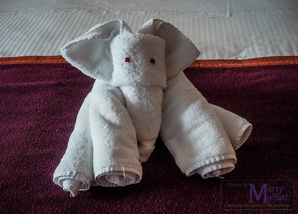 P2240945_resize