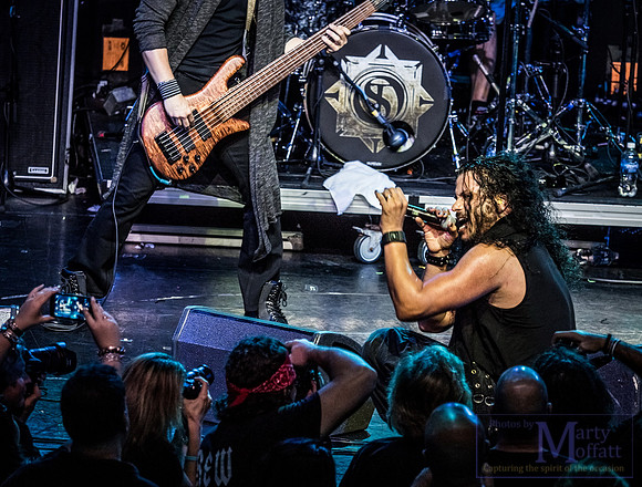 P2250036_resize