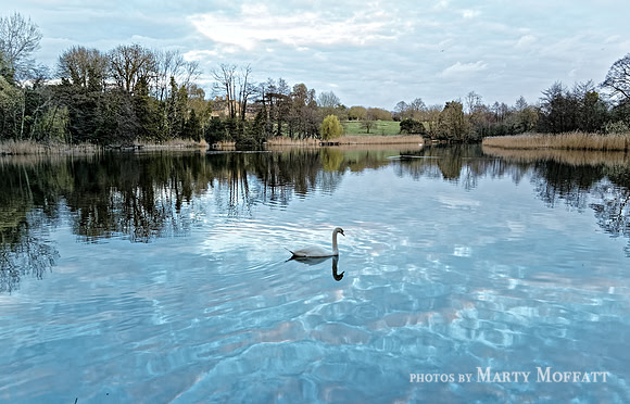 stanton0412_DxO3