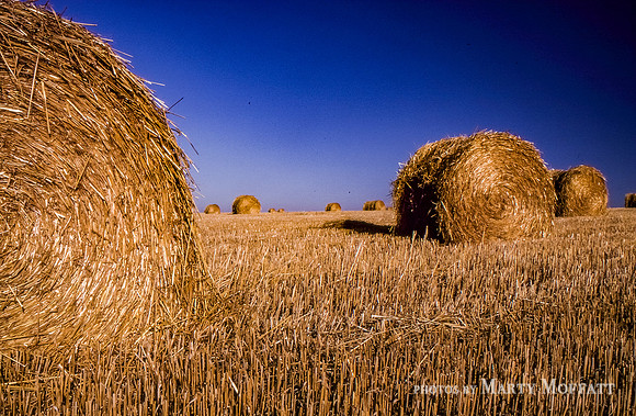Wiltshire Hay bales