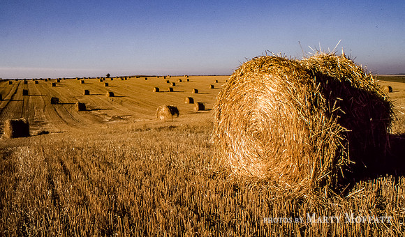 Wiltshire