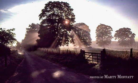 Wiltshire Lane