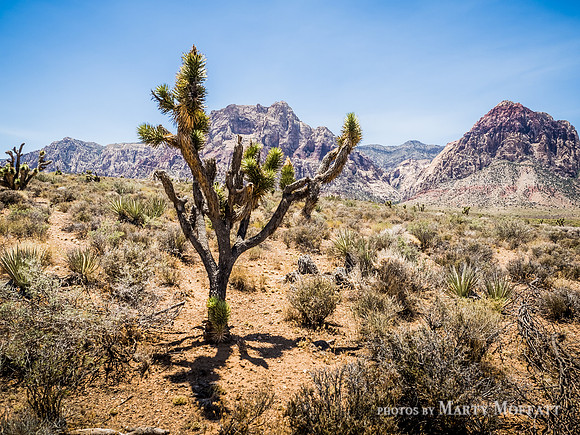Red Rock Canyon, Nevada