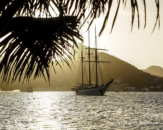 The Caribbean