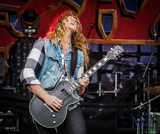 Jared James Nicholls (2017)