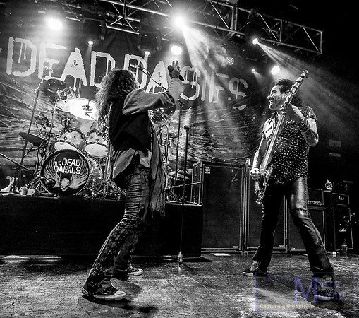 DD2018bristol050
